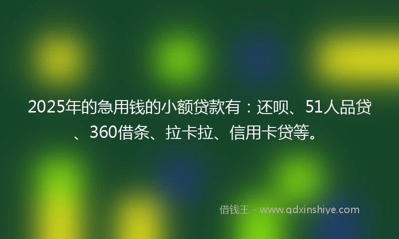 2025年的急用钱的小额贷款有：还呗、51人品贷、360借条、拉卡拉、信用卡贷等。