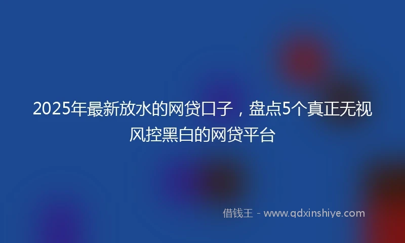 2025年最新放水的网贷口子，盘点5个真正无视风控黑白的网贷平台
