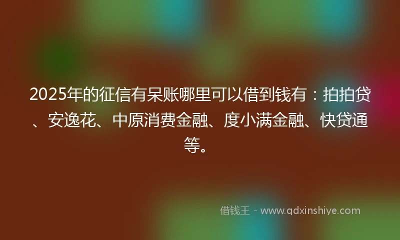 2025年的征信有呆账哪里可以借到钱有:拍拍贷、安逸花、中原消费金融、度小满金融、快贷通等。