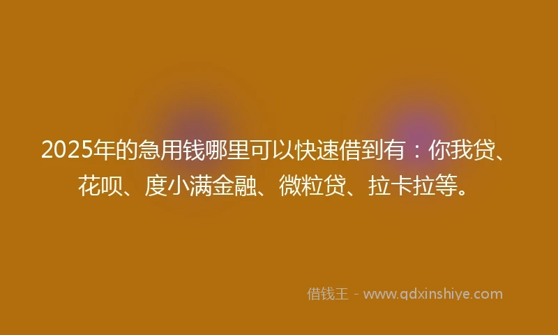 2025年的急用钱哪里可以快速借到有：你我贷、花呗、度小满金融、微粒贷、拉卡拉等。