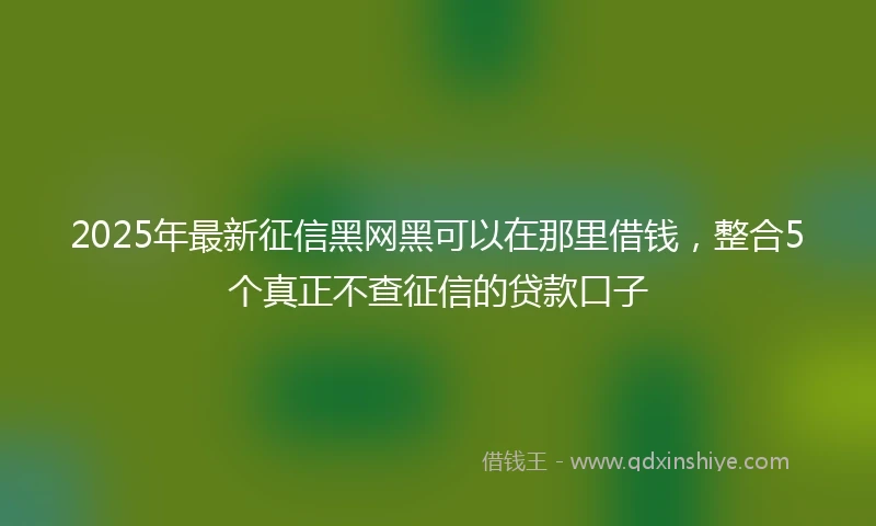 2025年最新征信黑网黑可以在那里借钱，整合5个真正不查征信的贷款口子
