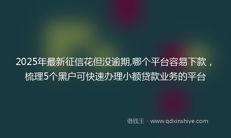 2025年最新征信花但没逾期,哪个平台容易下款，梳理5个黑户可快速办理小额贷款业务的平台