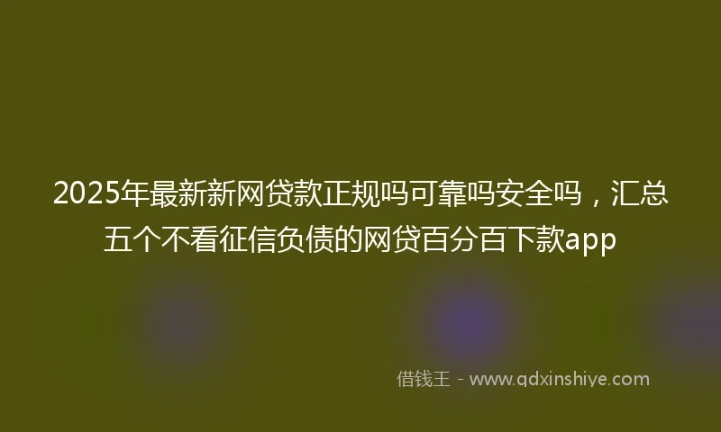 2025年最新新网贷款正规吗可靠吗安全吗，汇总五个不看征信负债的网贷百分百下款app
