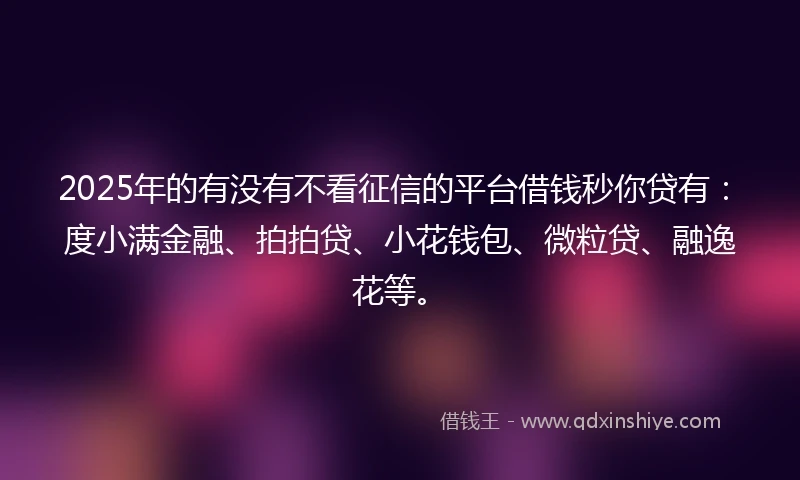 2025年的有没有不看征信的平台借钱秒你贷有：度小满金融、拍拍贷、小花钱包、微粒贷、融逸花等。