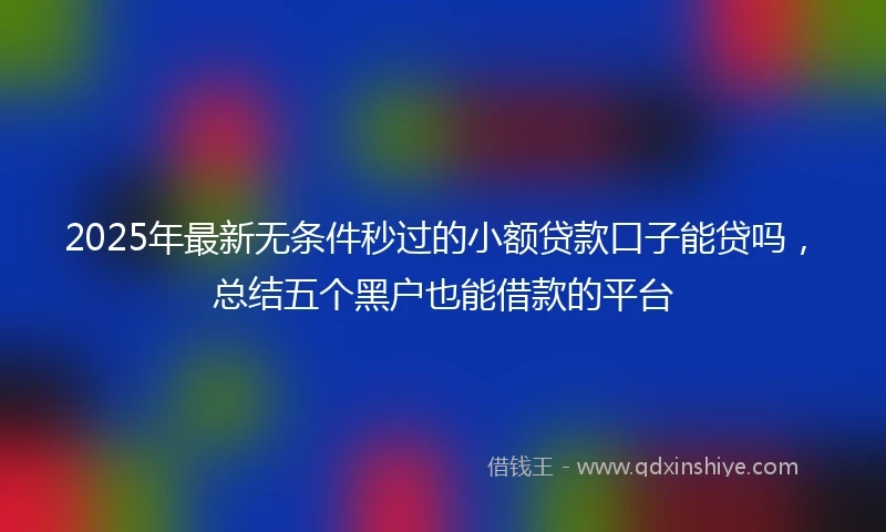 2025年最新无条件秒过的小额贷款口子能贷吗，总结五个黑户也能借款的平台
