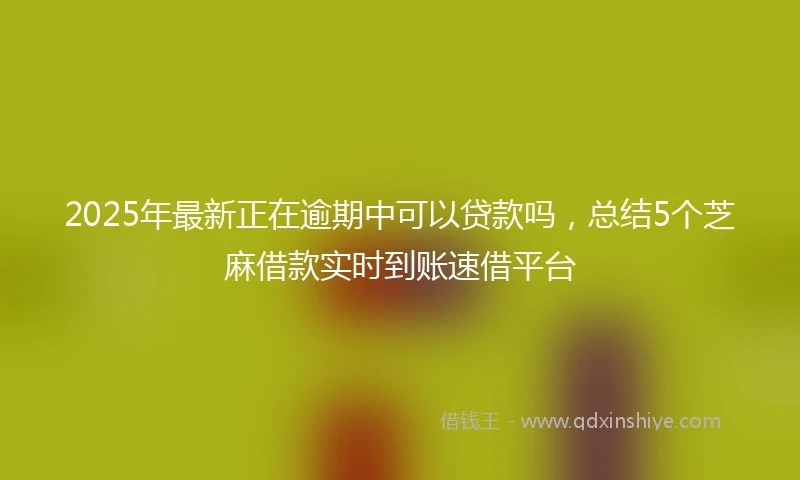 2025年最新正在逾期中可以贷款吗，总结5个芝麻借款实时到账速借平台