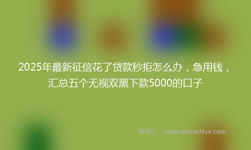 2025年最新征信花了贷款秒拒怎么办，急用钱，汇总五个无视双黑下款5000的口子
