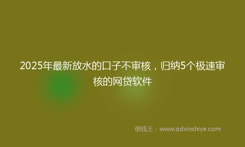 2025年最新放水的口子不审核，归纳5个极速审核的网贷软件
