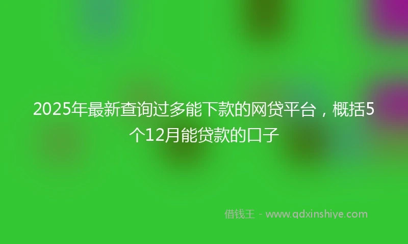 2025年最新查询过多能下款的网贷平台，概括5个12月能贷款的口子