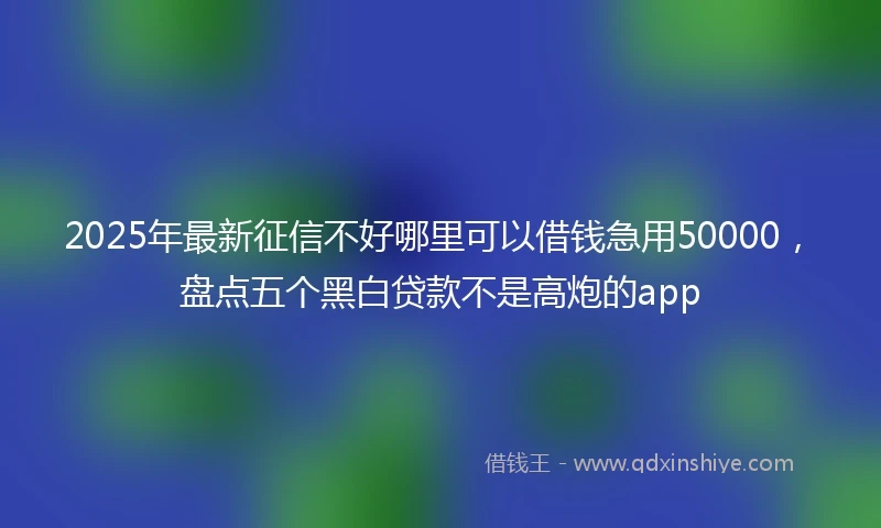 2025年最新征信不好哪里可以借钱急用50000，盘点五个黑白贷款不是高炮的app