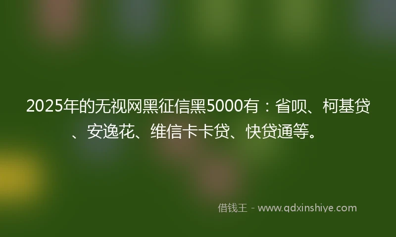 2025年的无视网黑征信黑5000有：省呗、柯基贷、安逸花、维信卡卡贷、快贷通等。