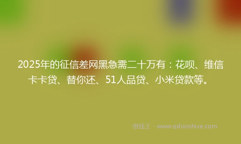 2025年的征信差网黑急需二十万有:花呗、维信卡卡贷、替你还、51人品贷、小米贷款等。