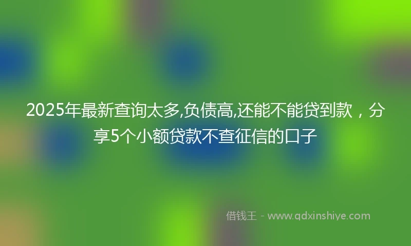 2025年最新查询太多,负债高,还能不能贷到款，分享5个小额贷款不查征信的口子
