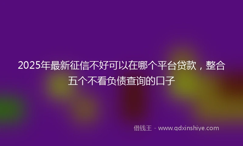 2025年最新征信不好可以在哪个平台贷款，整合五个不看负债查询的口子