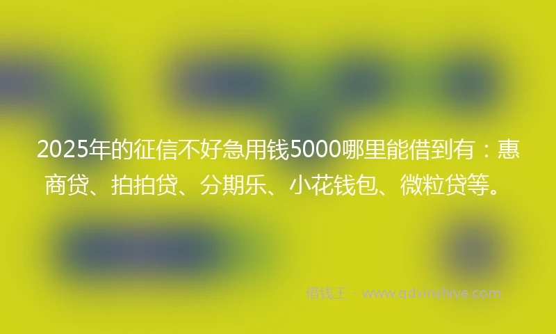 2025年的征信不好急用钱5000哪里能借到有：惠商贷、拍拍贷、分期乐、小花钱包、微粒贷等。