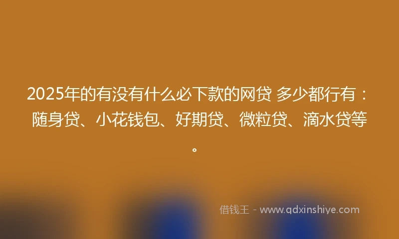 2025年的有没有什么必下款的网贷 多少都行有：随身贷、小花钱包、好期贷、微粒贷、滴水贷等。
