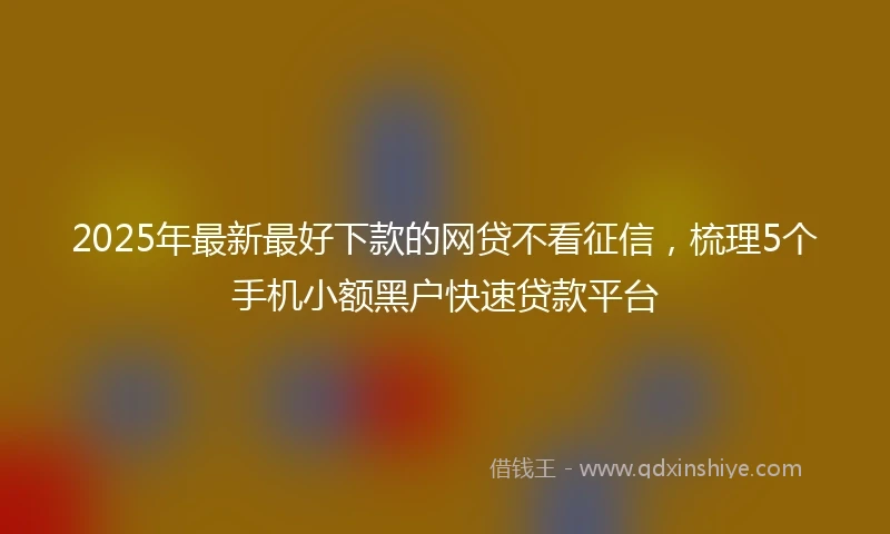 2025年最新最好下款的网贷不看征信，梳理5个手机小额黑户快速贷款平台
