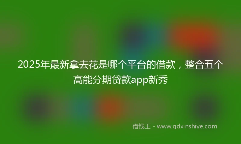 2025年最新拿去花是哪个平台的借款，整合五个高能分期贷款app新秀