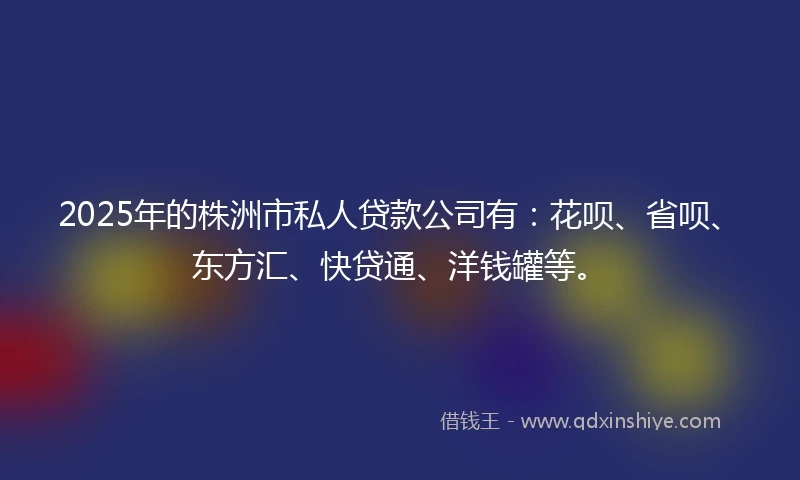 2025年的株洲市私人贷款公司有：花呗、省呗、东方汇、快贷通、洋钱罐等。