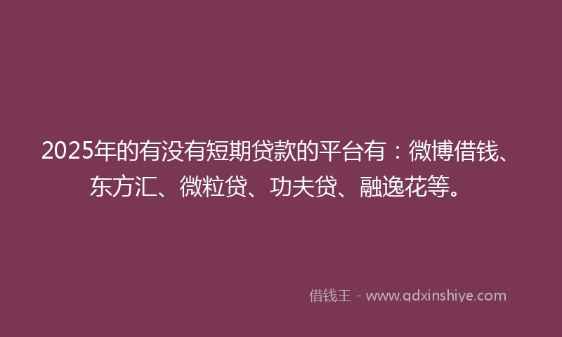 2025年的有没有短期贷款的平台有：微博借钱、东方汇、微粒贷、功夫贷、融逸花等。