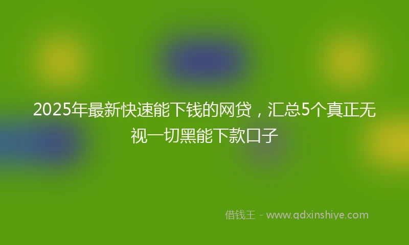 2025年最新快速能下钱的网贷，汇总5个真正无视一切黑能下款口子