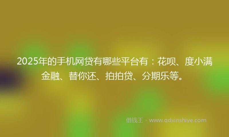 2025年的手机网贷有哪些平台有：花呗、度小满金融、替你还、拍拍贷、分期乐等。