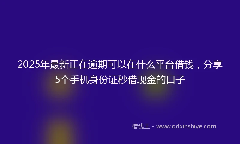 2025年最新正在逾期可以在什么平台借钱，分享5个手机身份证秒借现金的口子