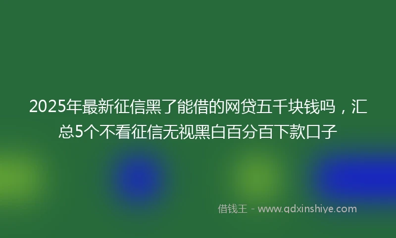 2025年最新征信黑了能借的网贷五千块钱吗，汇总5个不看征信无视黑白百分百下款口子