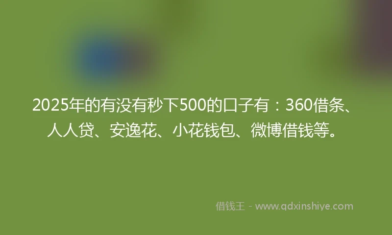 2025年的有没有秒下500的口子有：360借条、人人贷、安逸花、小花钱包、微博借钱等。