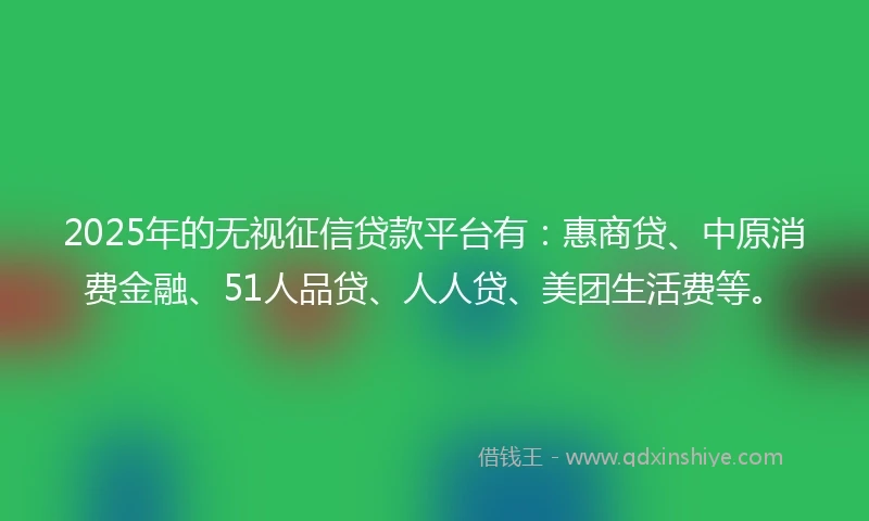 2025年的无视征信贷款平台有：惠商贷、中原消费金融、51人品贷、人人贷、美团生活费等。