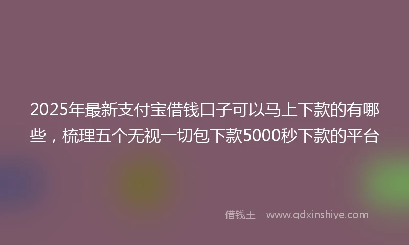 2025年最新支付宝借钱口子可以马上下款的有哪些，梳理五个无视一切包下款5000秒下款的平台