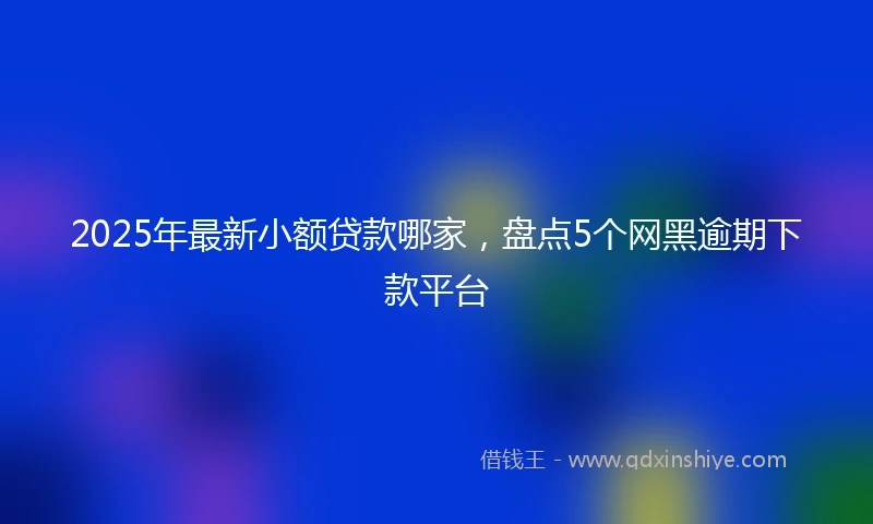 2025年最新小额贷款哪家，盘点5个网黑逾期下款平台