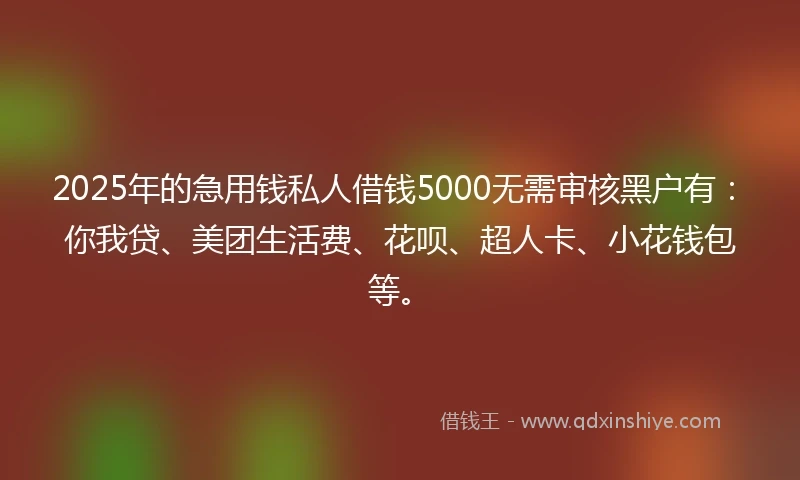 2025年的急用钱私人借钱5000无需审核黑户有：你我贷、美团生活费、花呗、超人卡、小花钱包等。