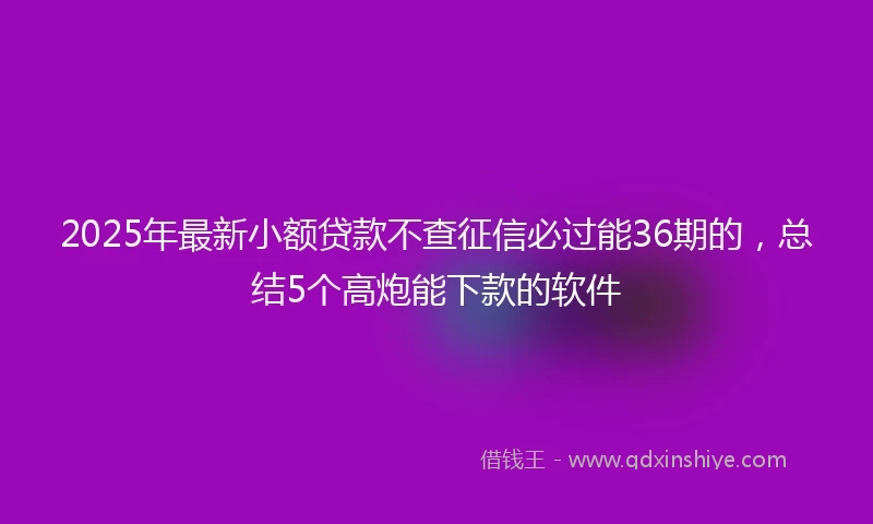 2025年最新小额贷款不查征信必过能36期的,总结5个高炮能下款的软件