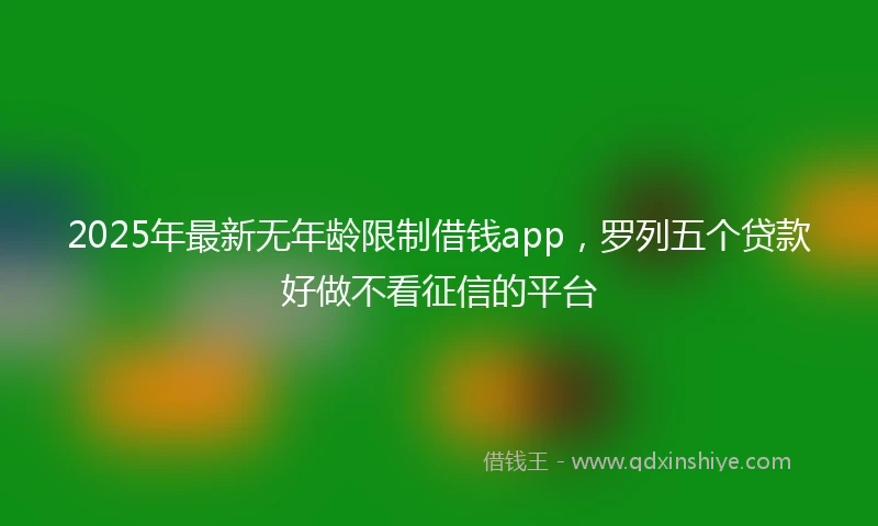 2025年最新无年龄限制借钱app，罗列五个贷款好做不看征信的平台