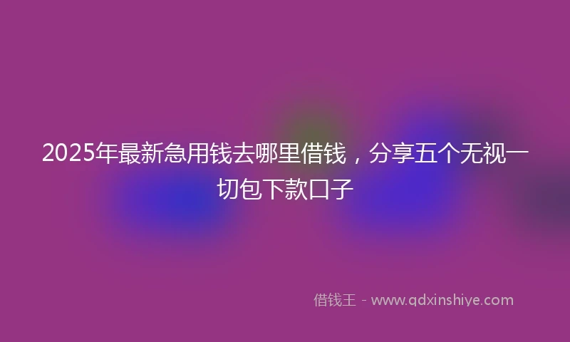 2025年最新急用钱去哪里借钱，分享五个无视一切包下款口子