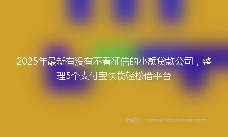 2025年最新有没有不看征信的小额贷款公司，整理5个支付宝快贷轻松借平台