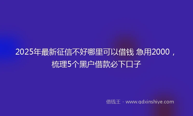 2025年最新征信不好哪里可以借钱 急用2000，梳理5个黑户借款必下口子