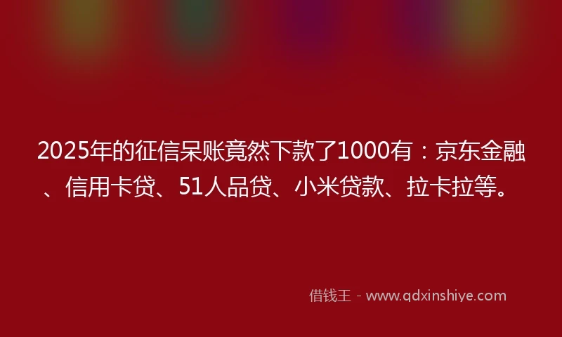2025年的征信呆账竟然下款了1000有:京东金融、信用卡贷、51人品贷、小米贷款、拉卡拉等。