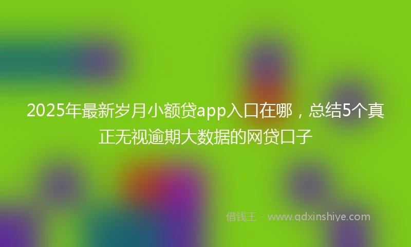 2025年最新岁月小额贷app入口在哪，总结5个真正无视逾期大数据的网贷口子