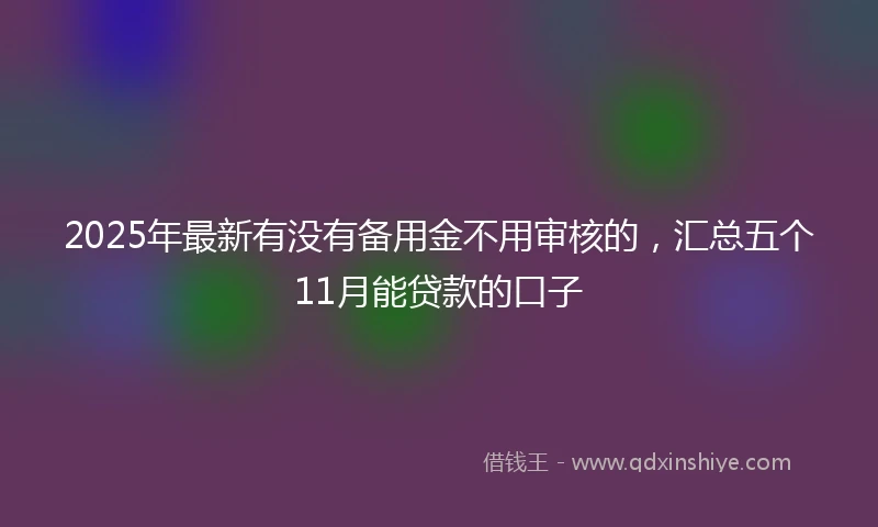 2025年最新有没有备用金不用审核的，汇总五个11月能贷款的口子