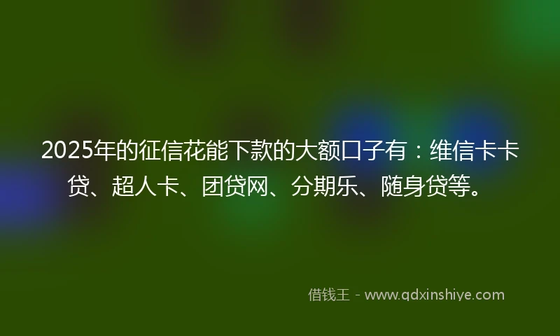2025年的征信花能下款的大额口子有：维信卡卡贷、超人卡、团贷网、分期乐、随身贷等。