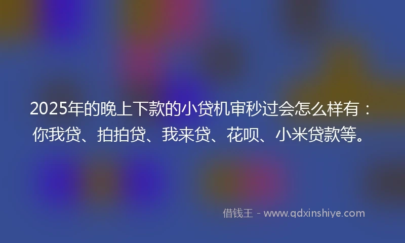 2025年的晚上下款的小贷机审秒过会怎么样有：你我贷、拍拍贷、我来贷、花呗、小米贷款等。