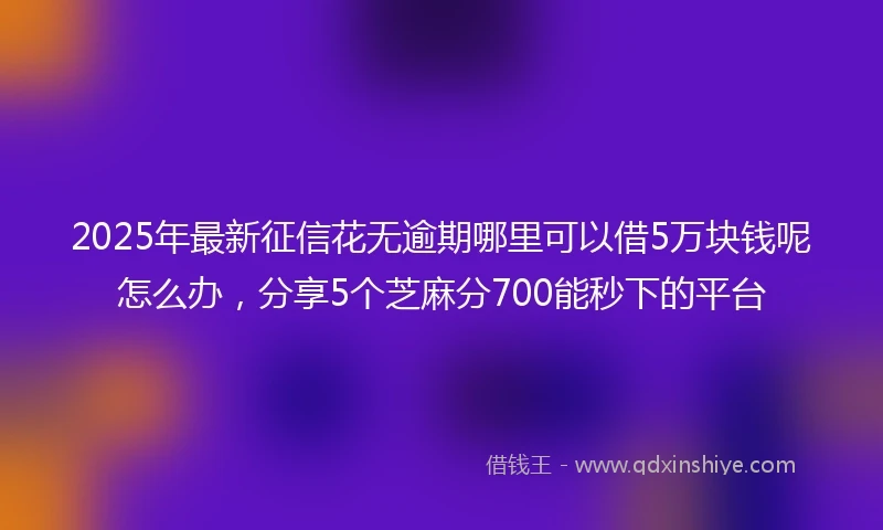 2025年最新征信花无逾期哪里可以借5万块钱呢怎么办，分享5个芝麻分700能秒下的平台