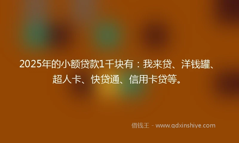 2025年的小额贷款1千块有：我来贷、洋钱罐、超人卡、快贷通、信用卡贷等。
