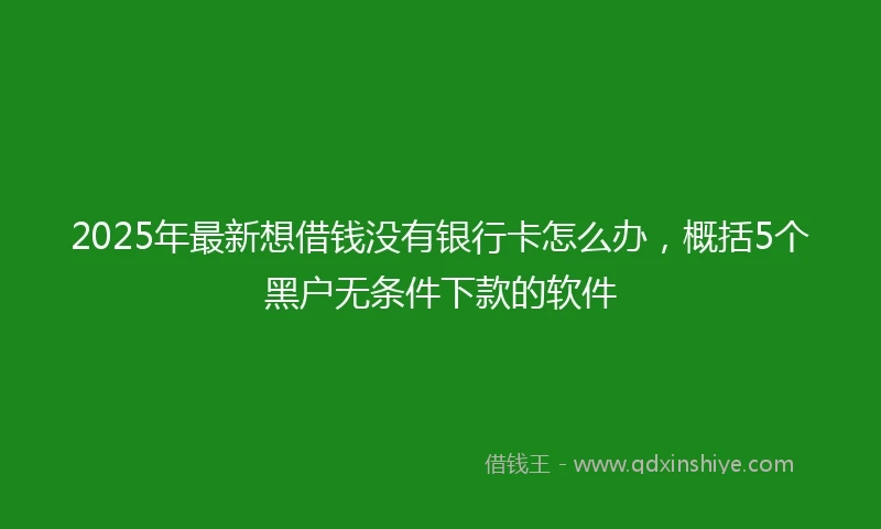 2025年最新想借钱没有银行卡怎么办，概括5个黑户无条件下款的软件
