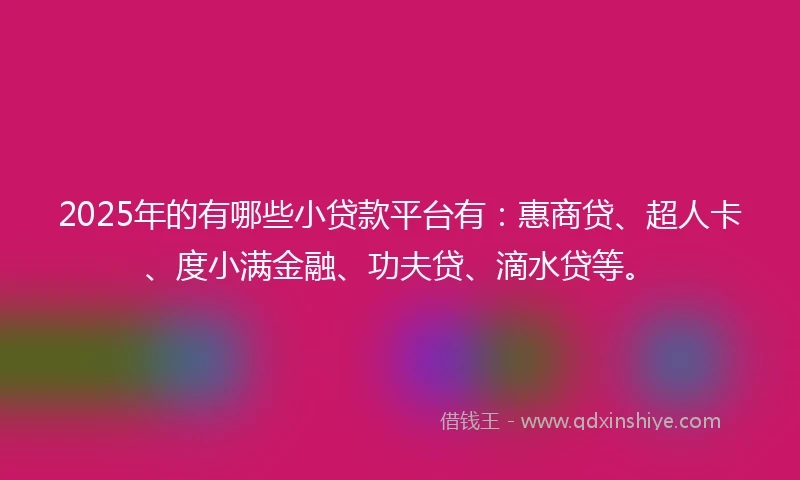 2025年的有哪些小贷款平台有：惠商贷、超人卡、度小满金融、功夫贷、滴水贷等。