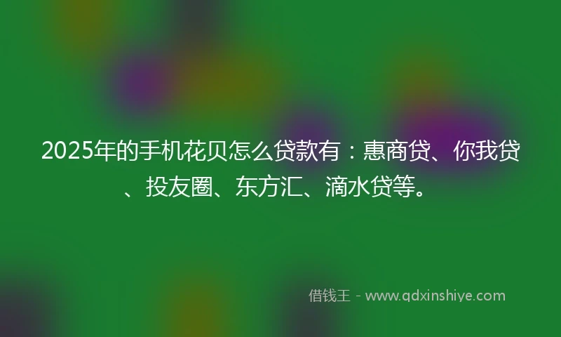 2025年的手机花贝怎么贷款有：惠商贷、你我贷、投友圈、东方汇、滴水贷等。