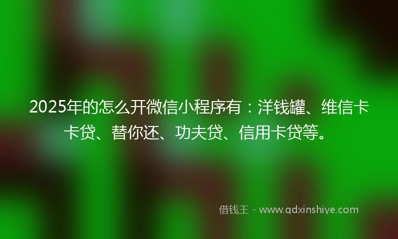 2025年的怎么开微信小程序有：洋钱罐、维信卡卡贷、替你还、功夫贷、信用卡贷等。