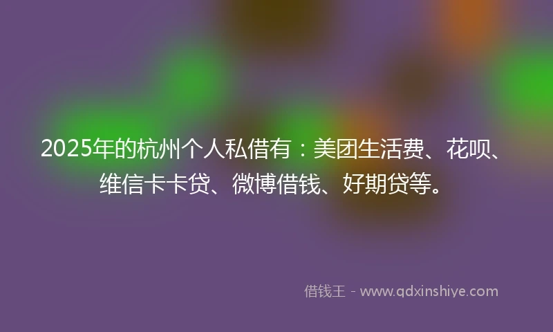 2025年的杭州个人私借有：美团生活费、花呗、维信卡卡贷、微博借钱、好期贷等。